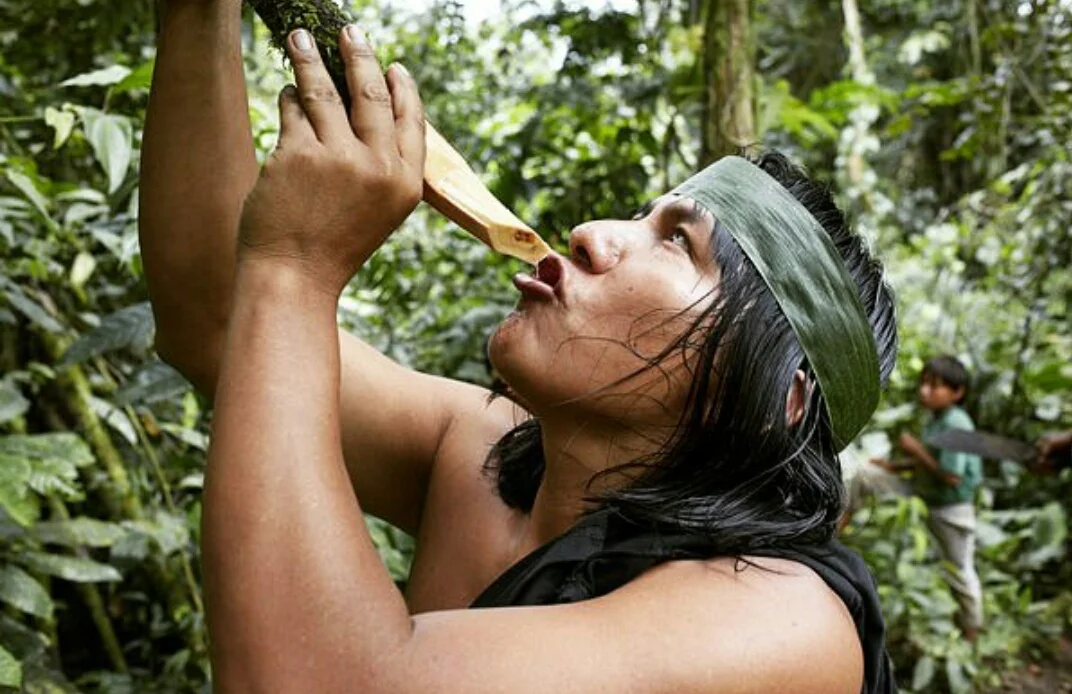 P R O J E C T  P L A N T  M E D 