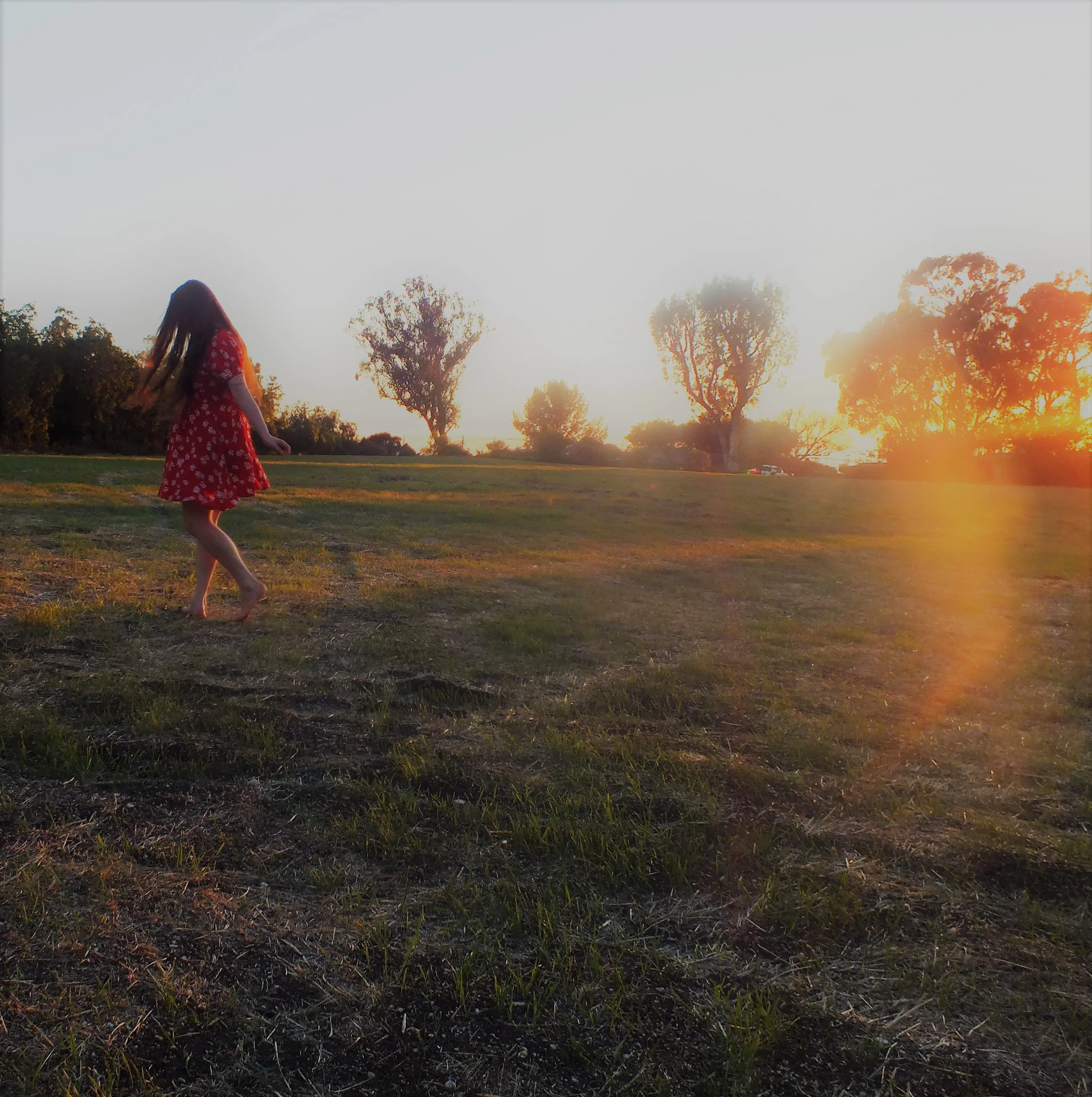 Photo by Jill Smith&nbsp;