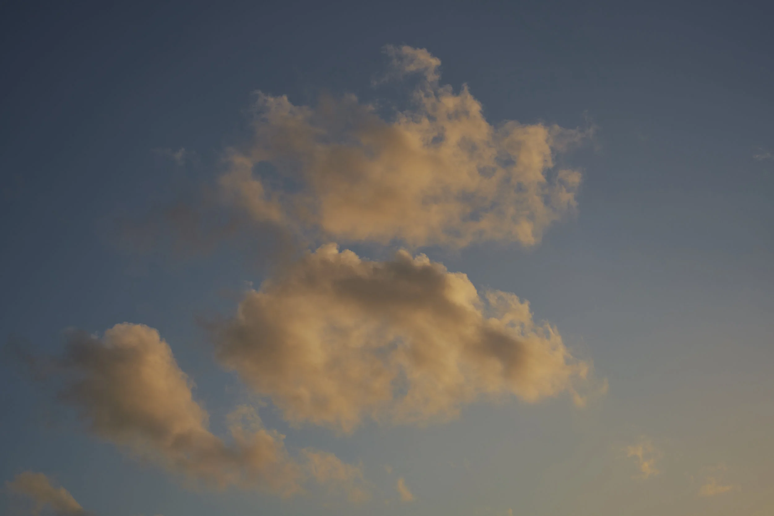 _DSC7415_RT 1_web.jpg