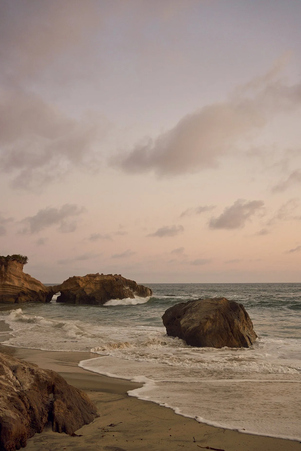woods cove_web.jpg