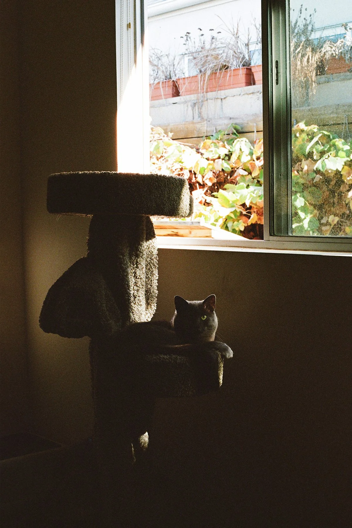 64830011_cc_web.jpg