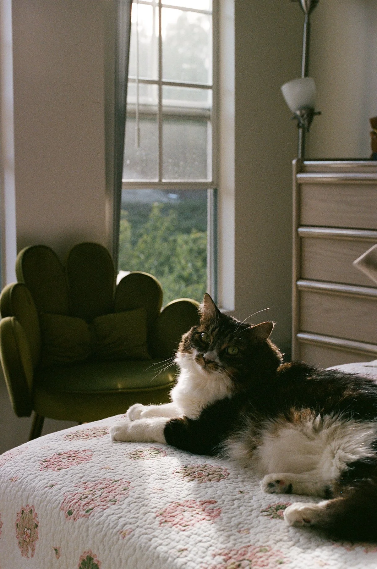 84720035.jpg
