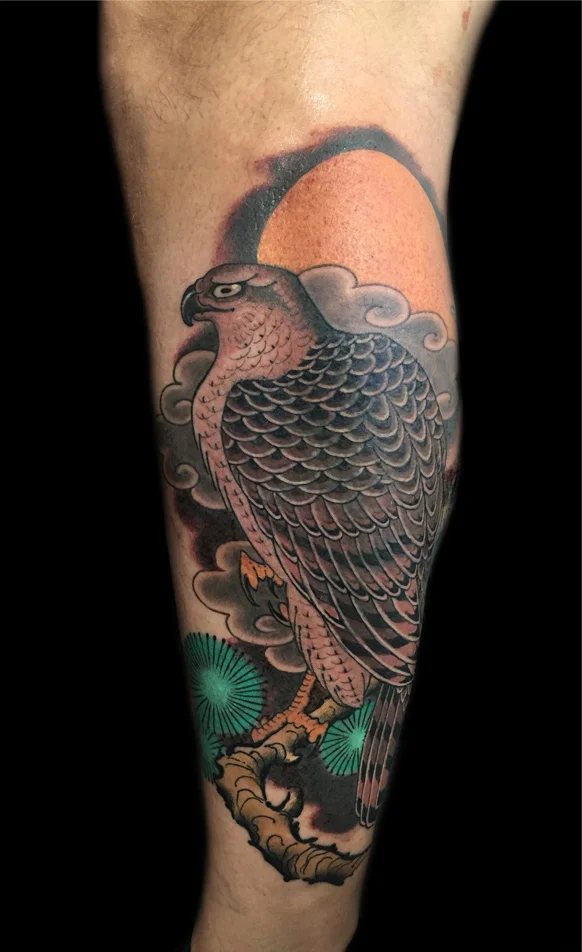 hawk.jpg