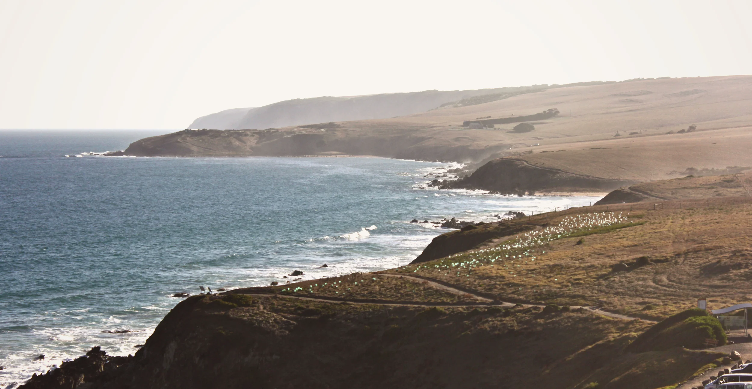 Victor Harbor Coast.jpg