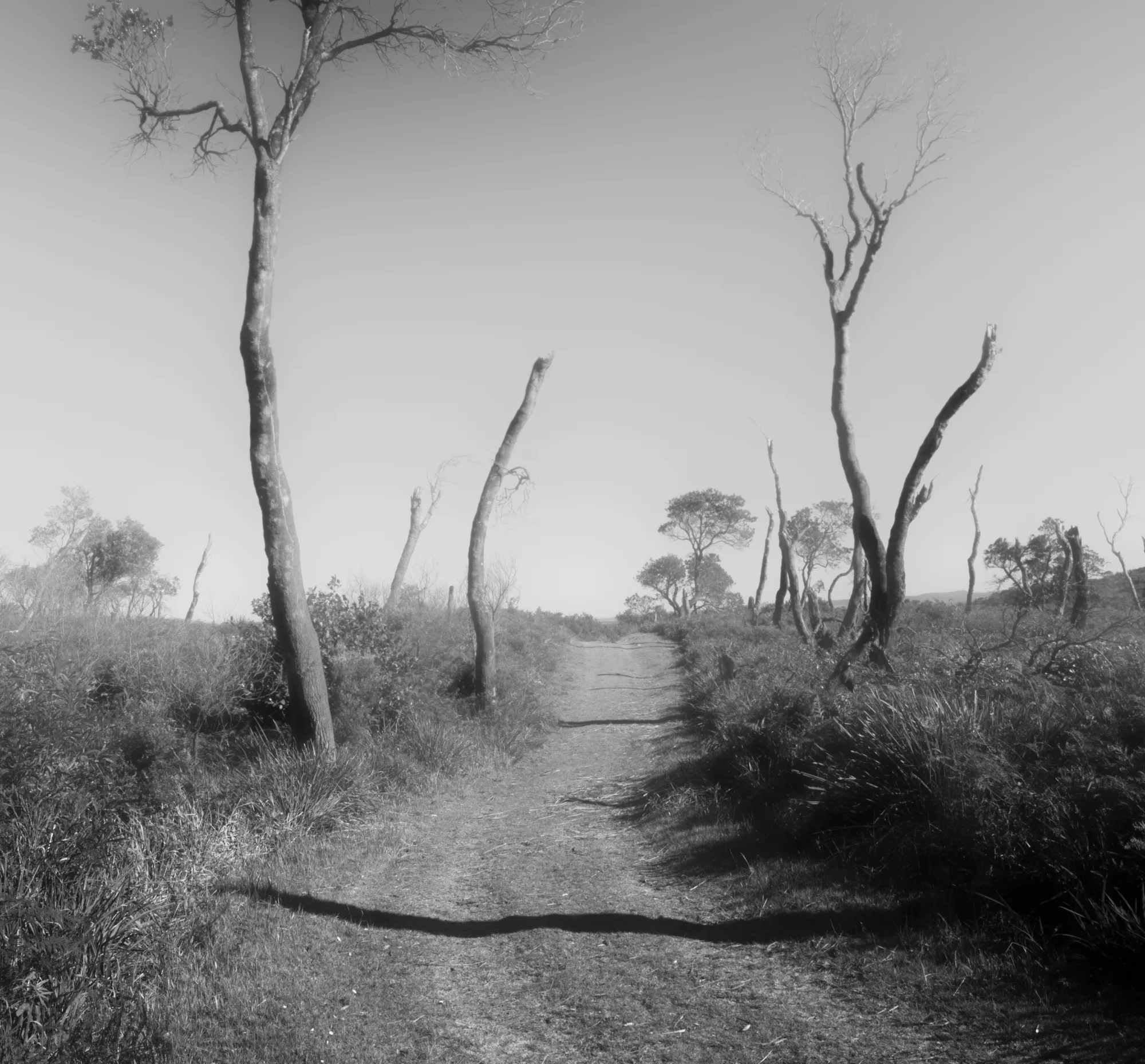 others-7.jpg