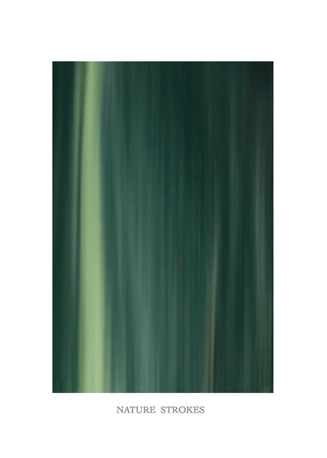EmptyName 3.jpg