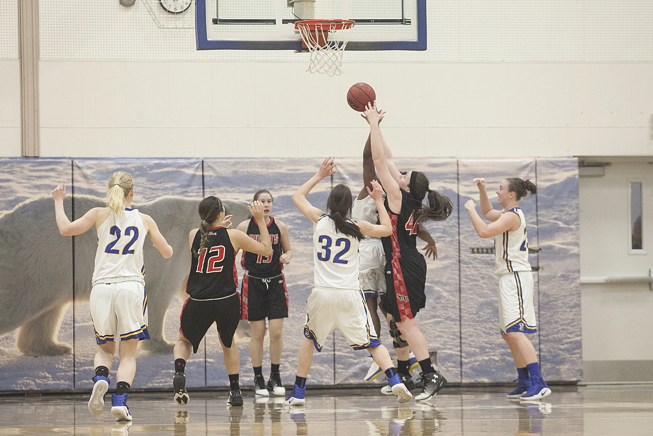quimby_basketball05.jpg