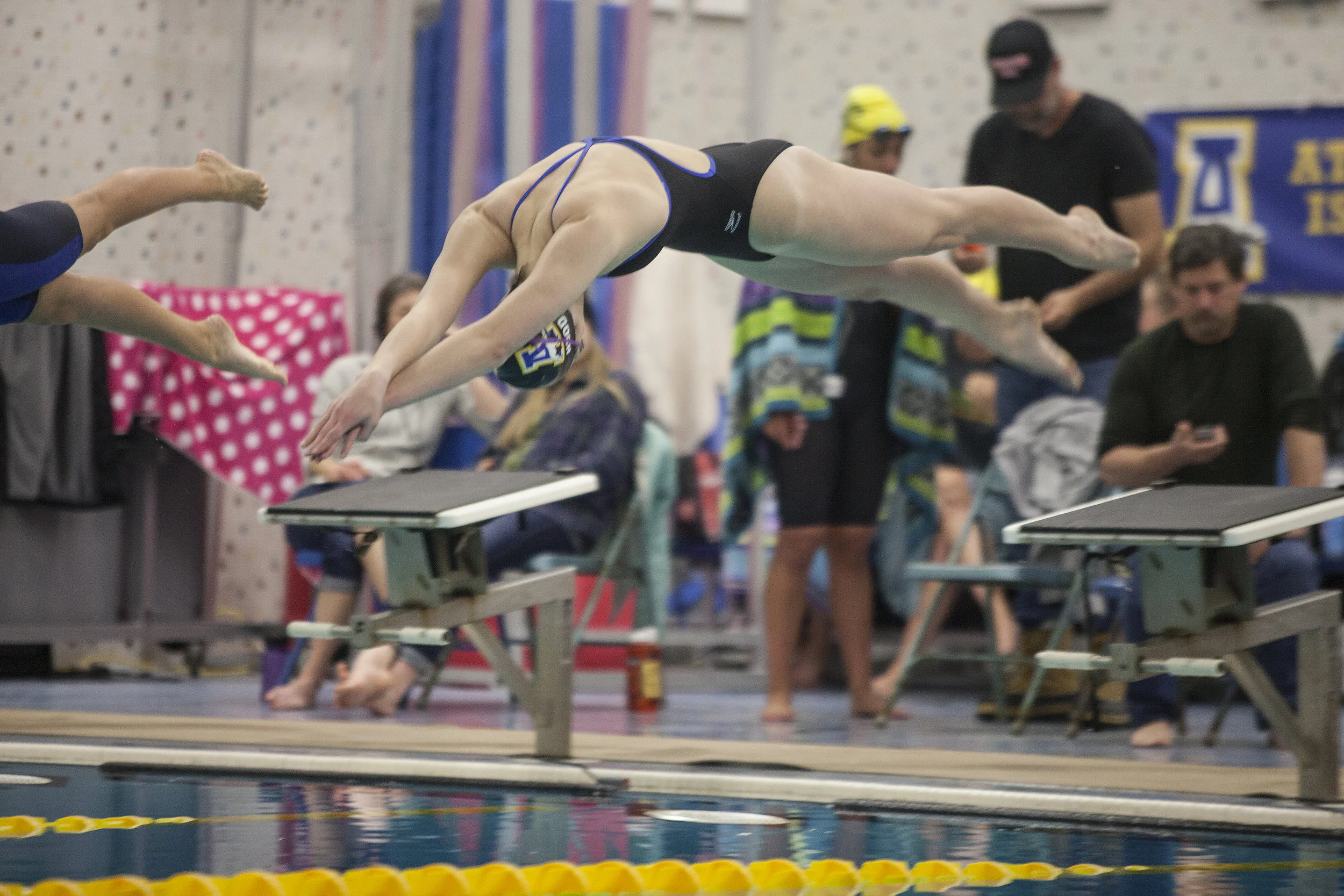 quimby_swim_01.jpg