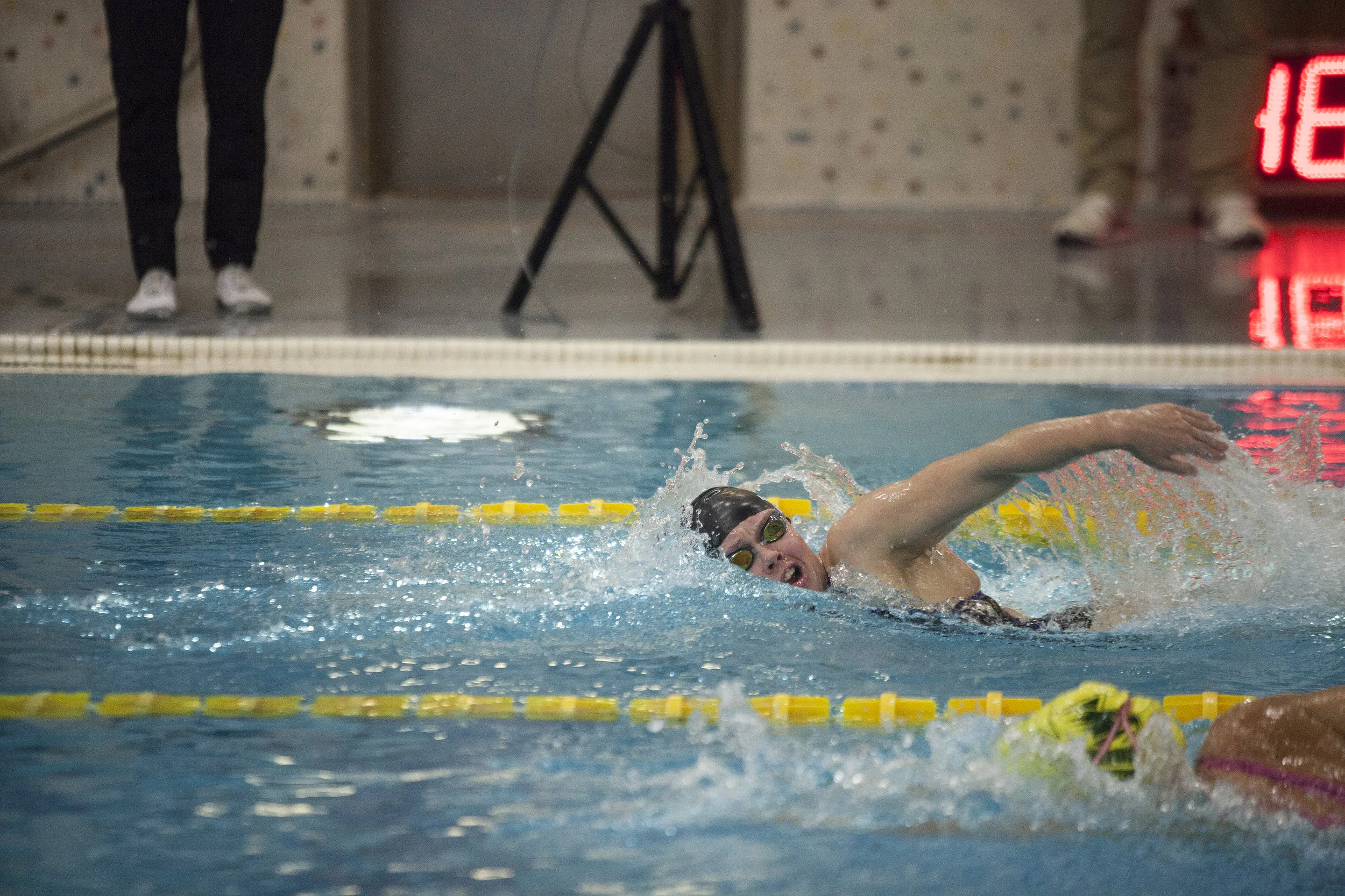 quimby_swim_02.jpg
