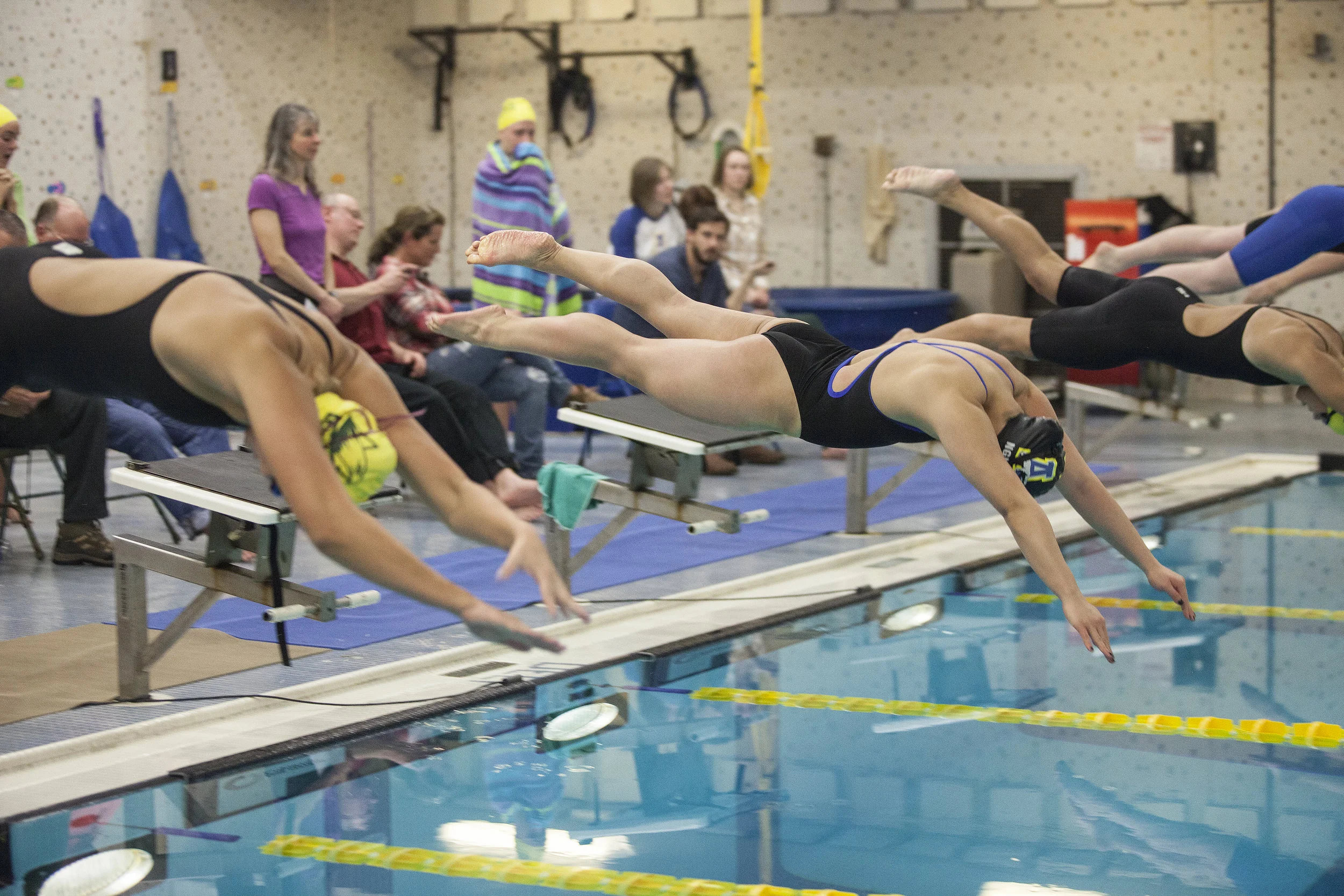 quimby_swim_05.jpg