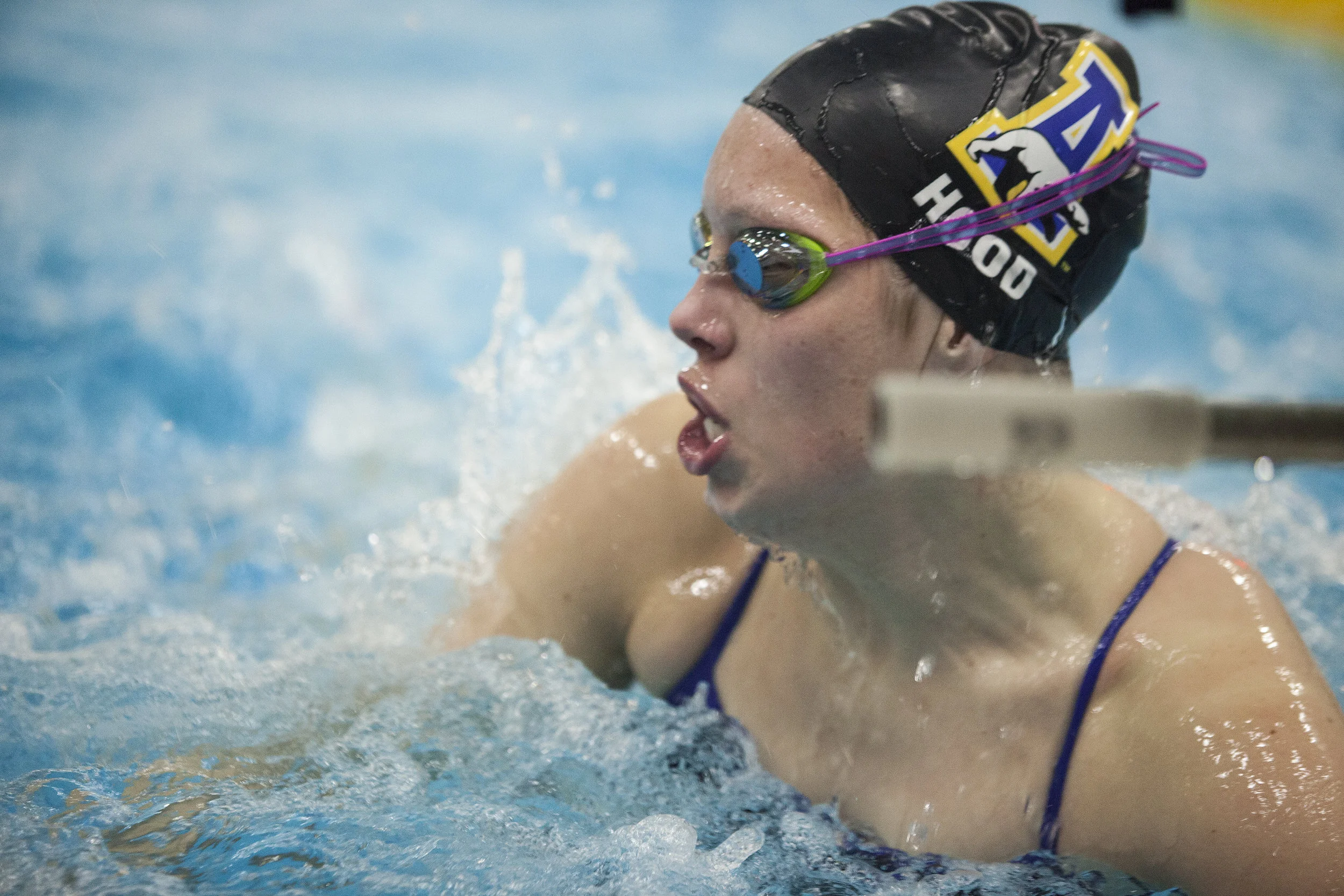 quimby_swim_08.jpg