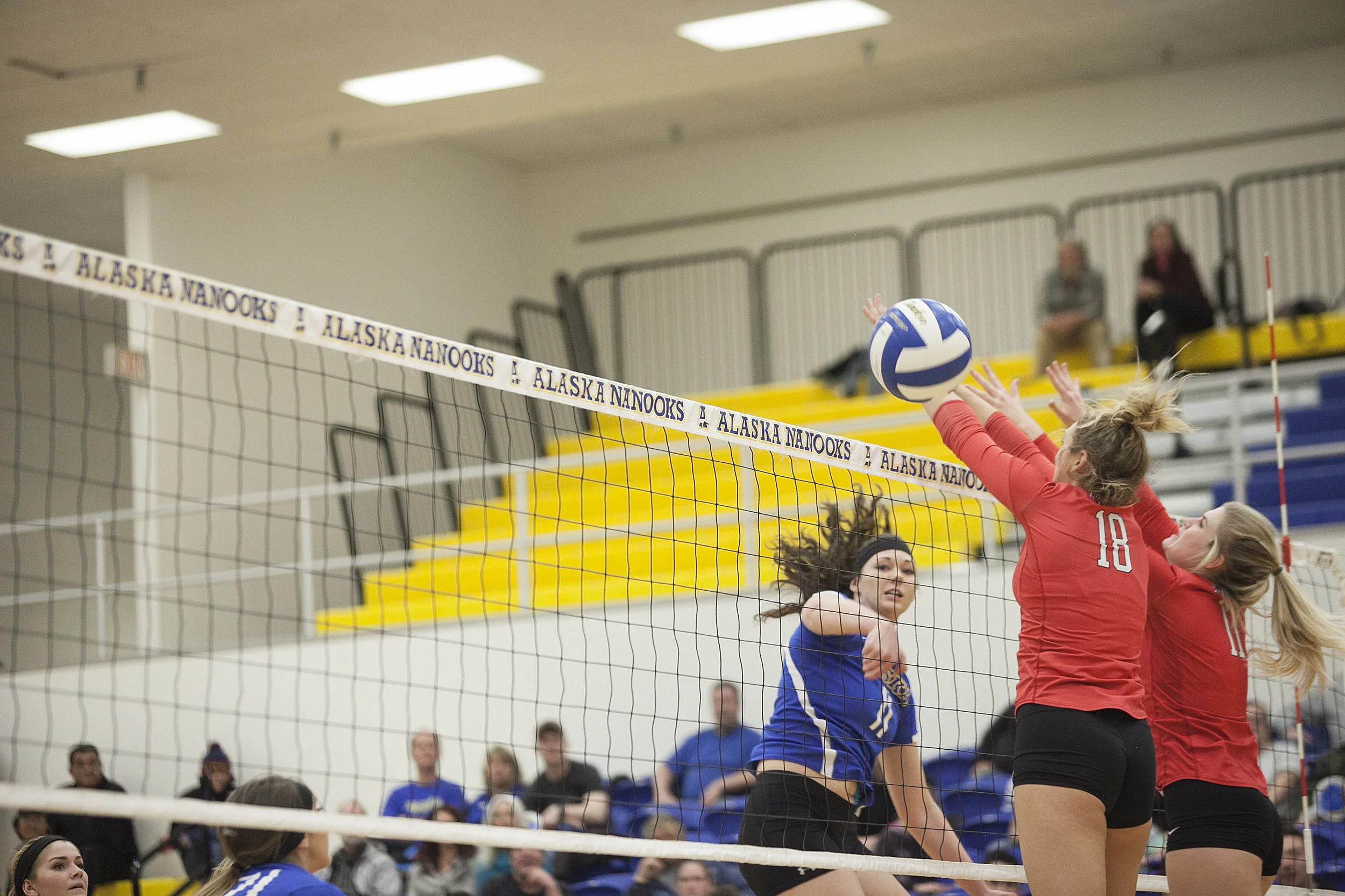 quimby_vball_06.jpg