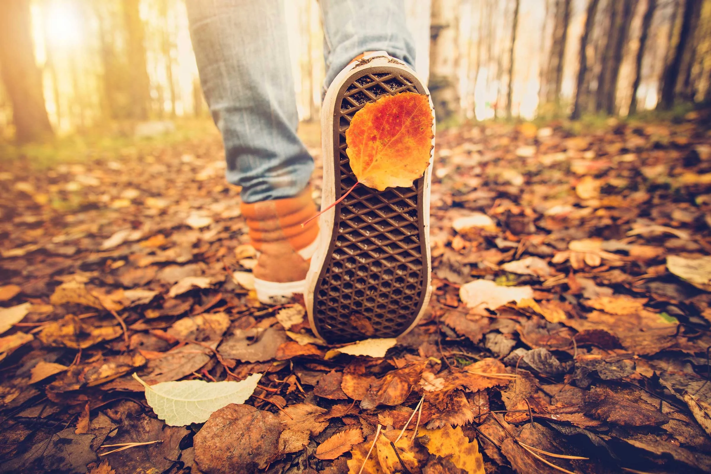 04_weird_ways_world_autumn_economy_Everste.jpg