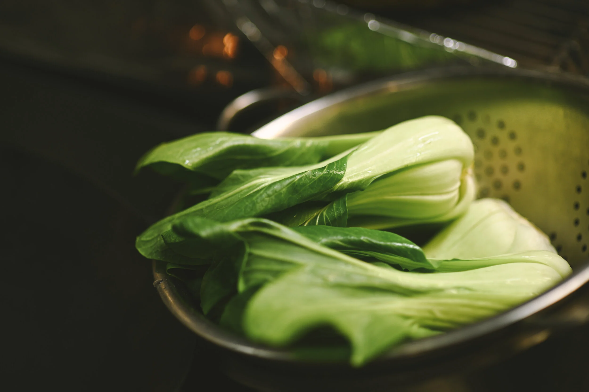 Bokchoy-1.jpg