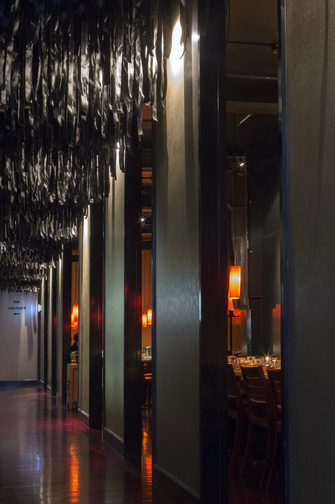 Dragonfly Ribbons 1.jpg