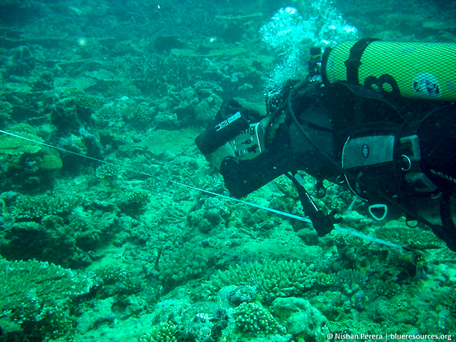 Photo survey on a reef
