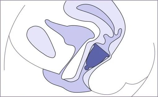 MeLuna_Position_a8487705-dcd6-4506-9f13-c6cf085c4036.jpg