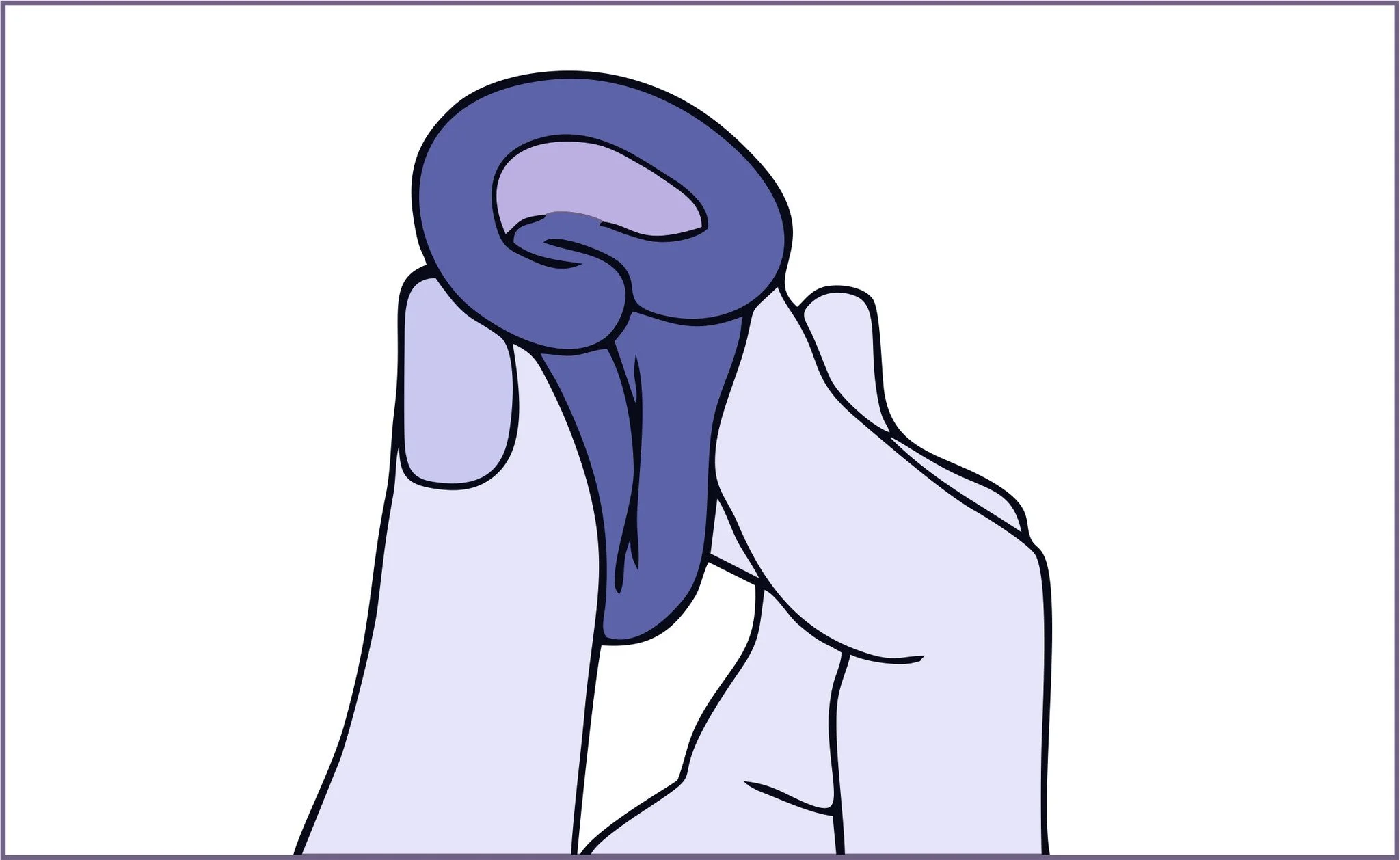 MeLuna_c-fold_693ec579-bdc2-421a-be5d-466aa2fabbc7.jpg