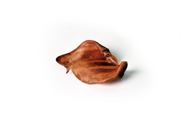 griseøre.jpg
