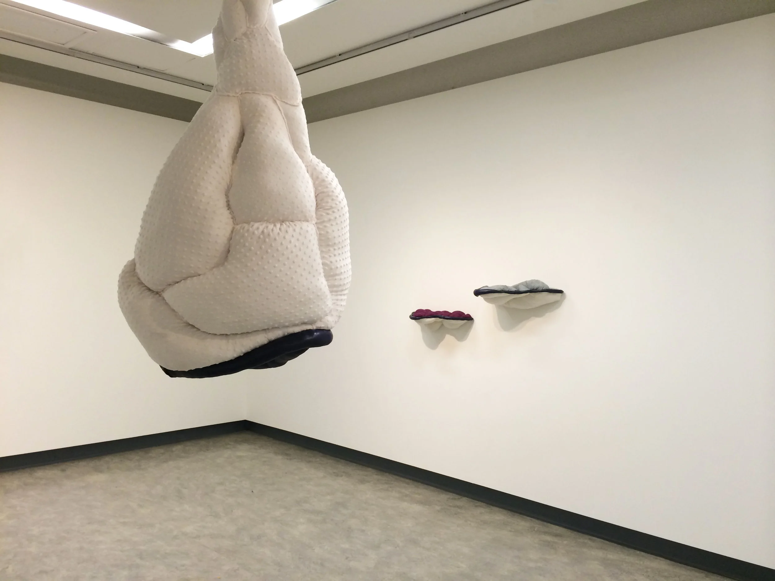 Installaton view of Distorted relations and Psychological growths, 2014.