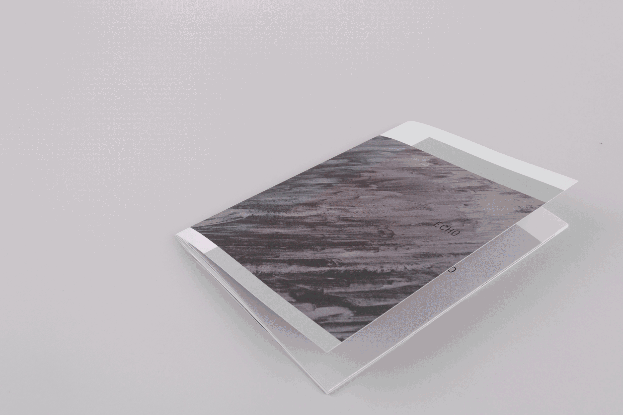 echo_booklet.gif