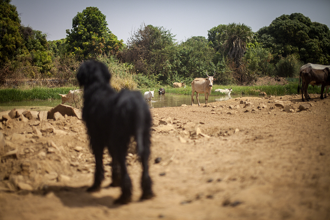 Mexican Standoff