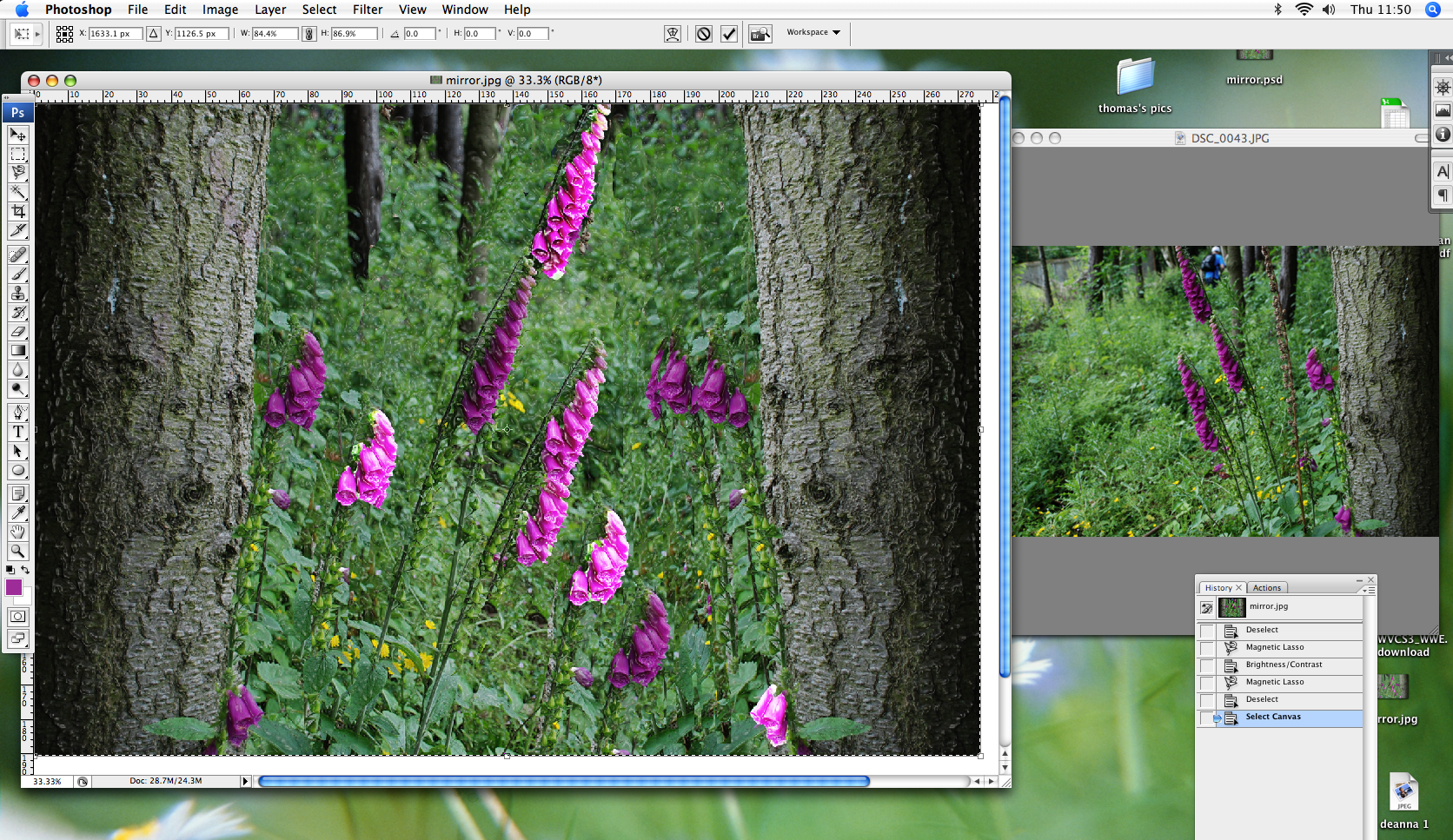 deanna before after 3 .png