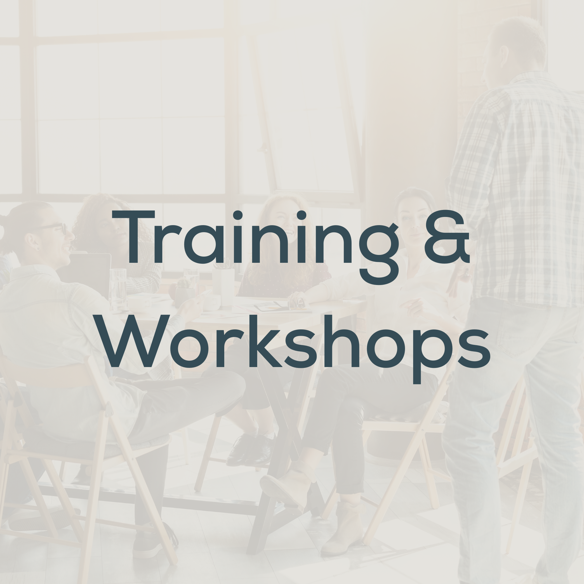 Group of diverse young adults attending a training or workshop in a bright, modern room with large windows, seated around a table, engaging with a presenter.