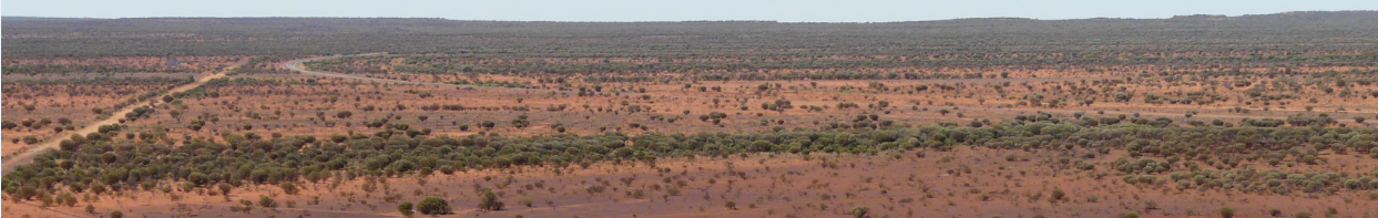 landscape.PNG