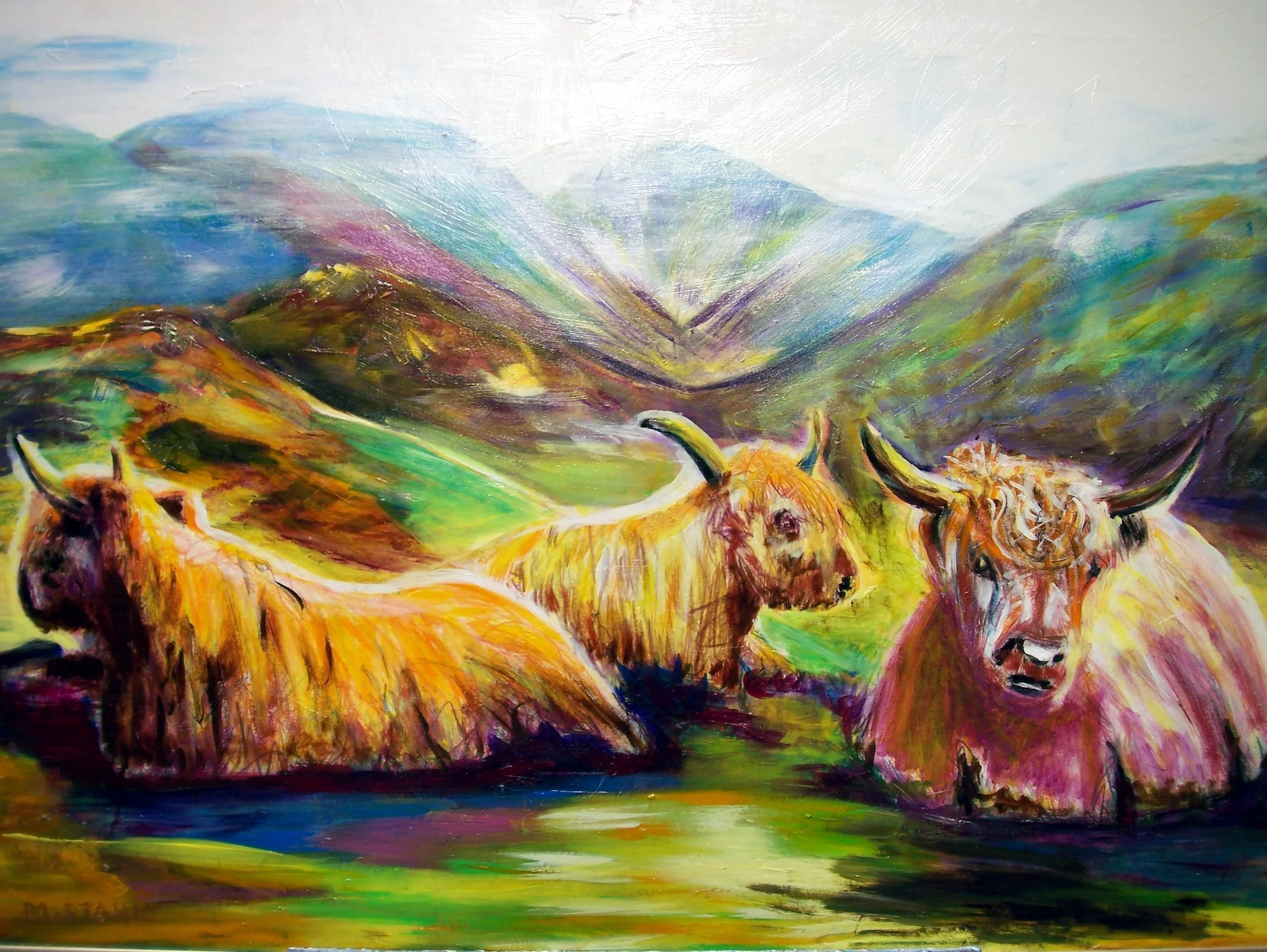 Highlabnd Cows.jpg