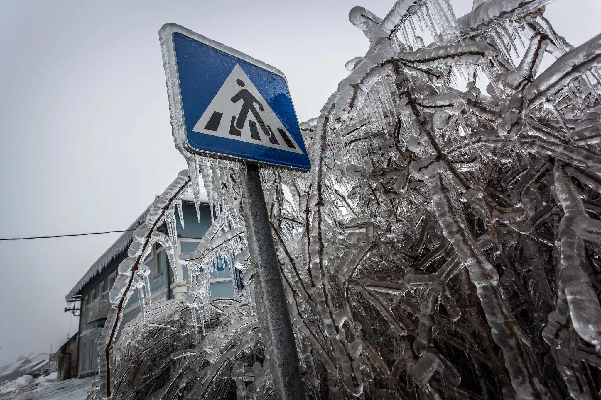 Pedestrian crossing sign covered with a few centimetres of ice.