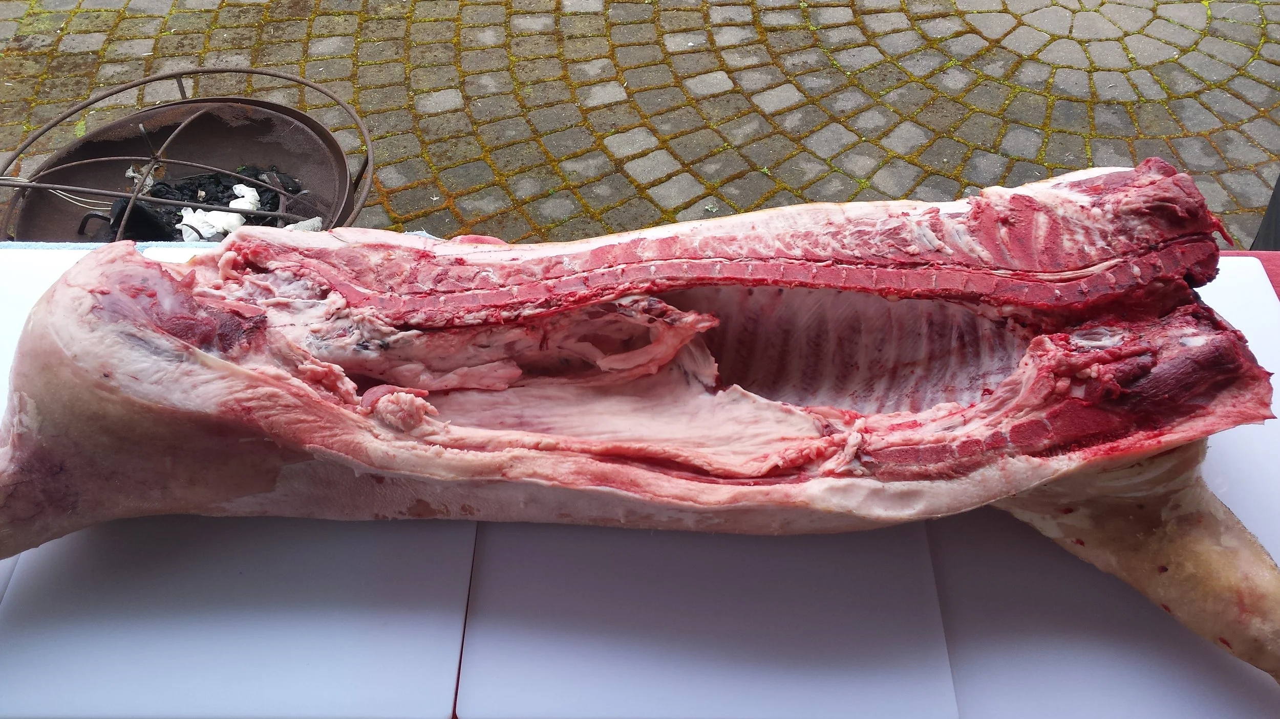 Honoring the swine--courtesy of Laughing Stock Farm and Eugene Meat Collective