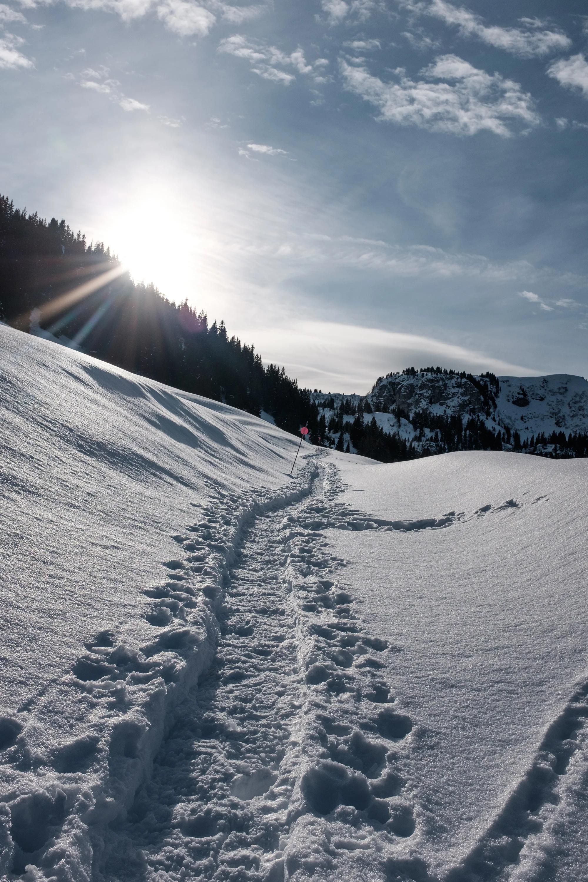 DSCF5903.jpg