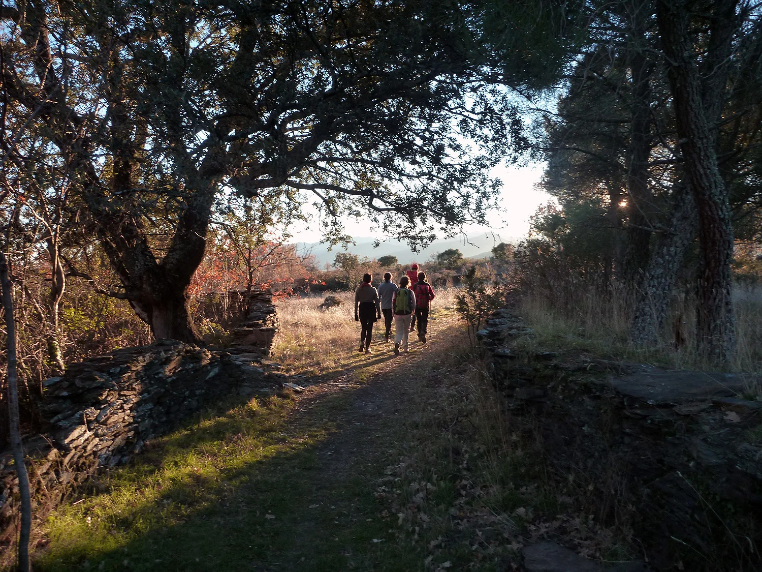 pueblos negros_3.jpg