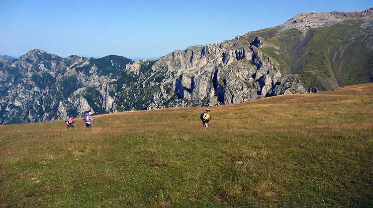 cavalls_13.jpg