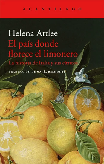 limonero.jpg