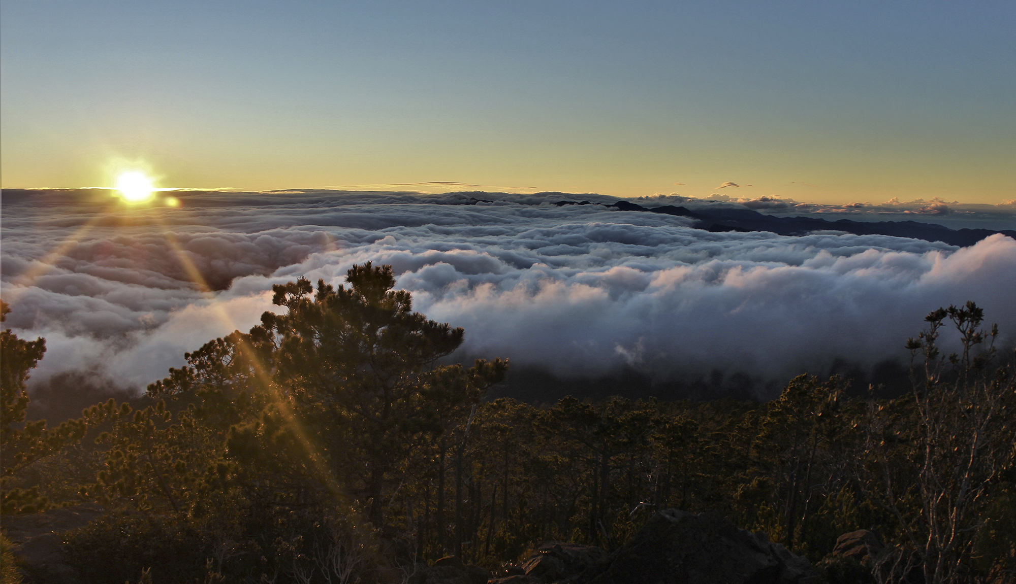 pico amanecer.jpg