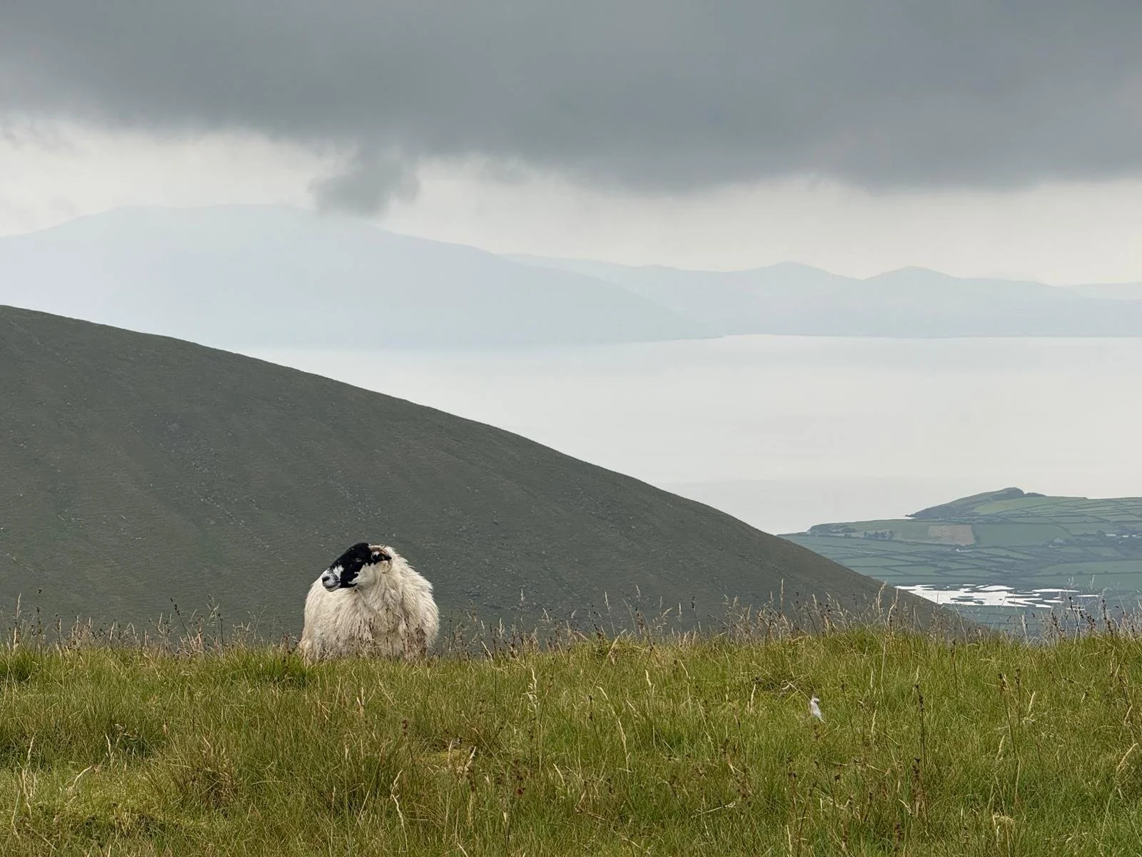 WhatsApp Image 2026-01-12 at 19.37.55.jpeg