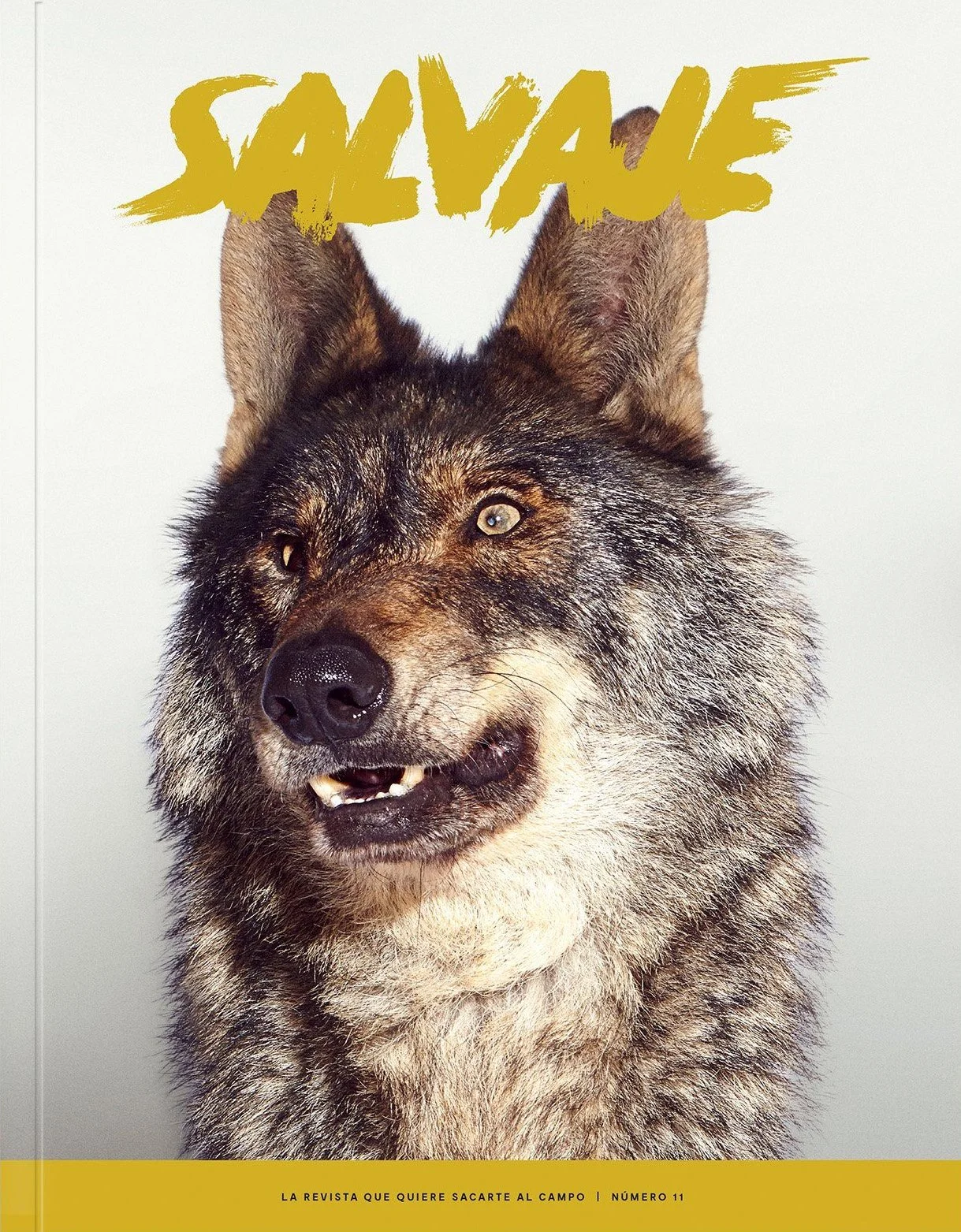   Fantástica portada del nº11 de la revista  