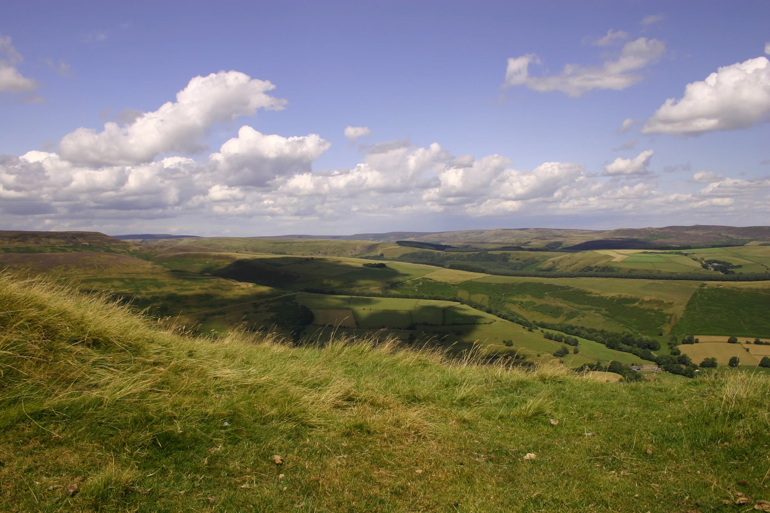 Imagery provided by Joanne Theaker