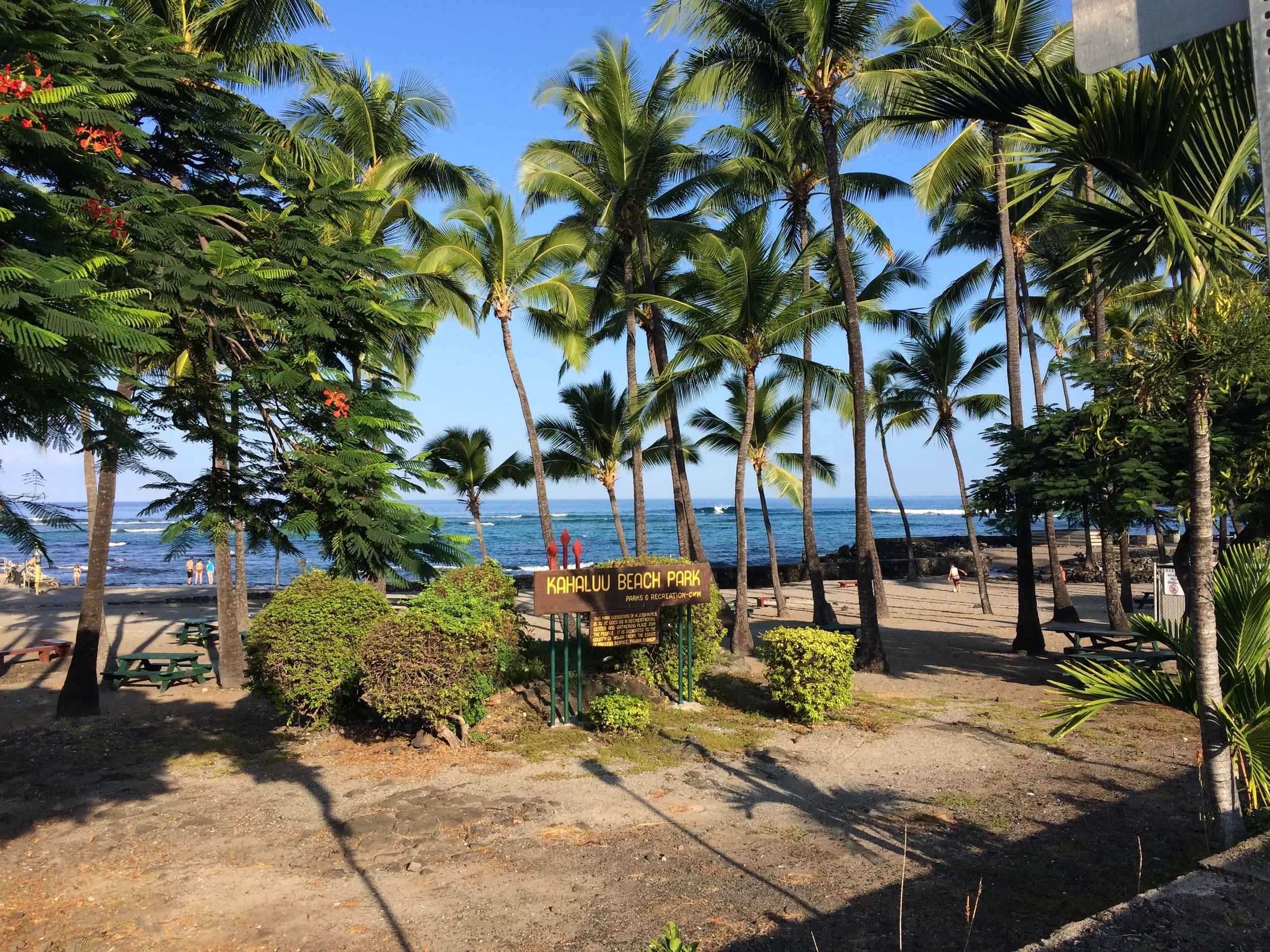 Where I did my final pre-race swim. Saw a sea turtle and had a fish kiss my toe. 