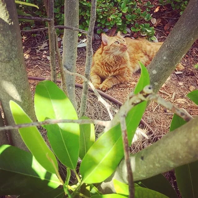 My wild child π¦