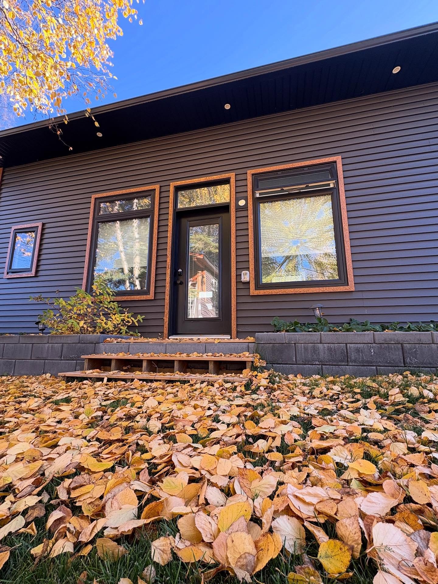 Another beautiful fall day in the studio. I love the fallen leaves, sunshine and blue sky! 😍🍂
