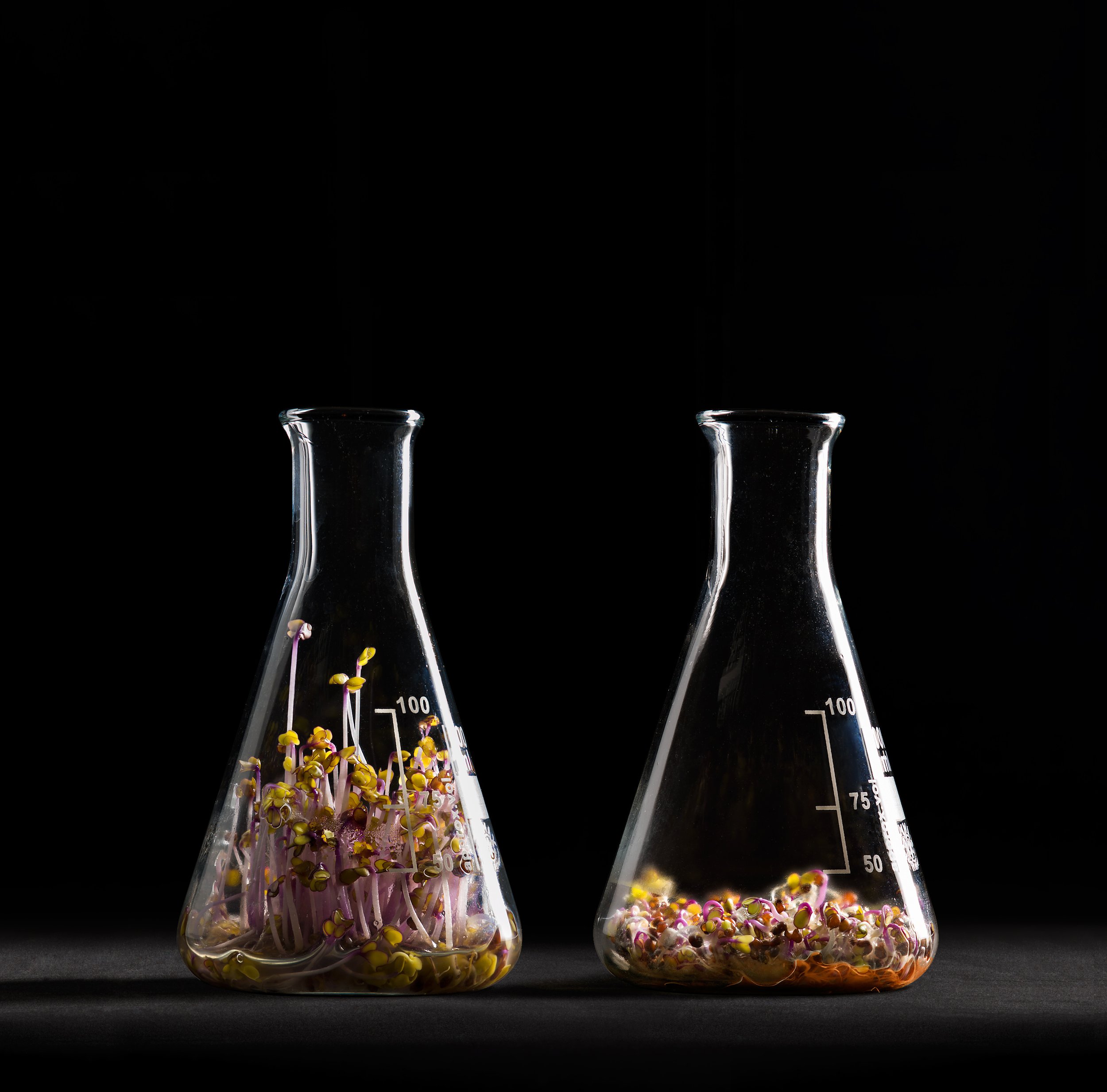 ©Anna-Villaplana_Benzos-1_03.jpg