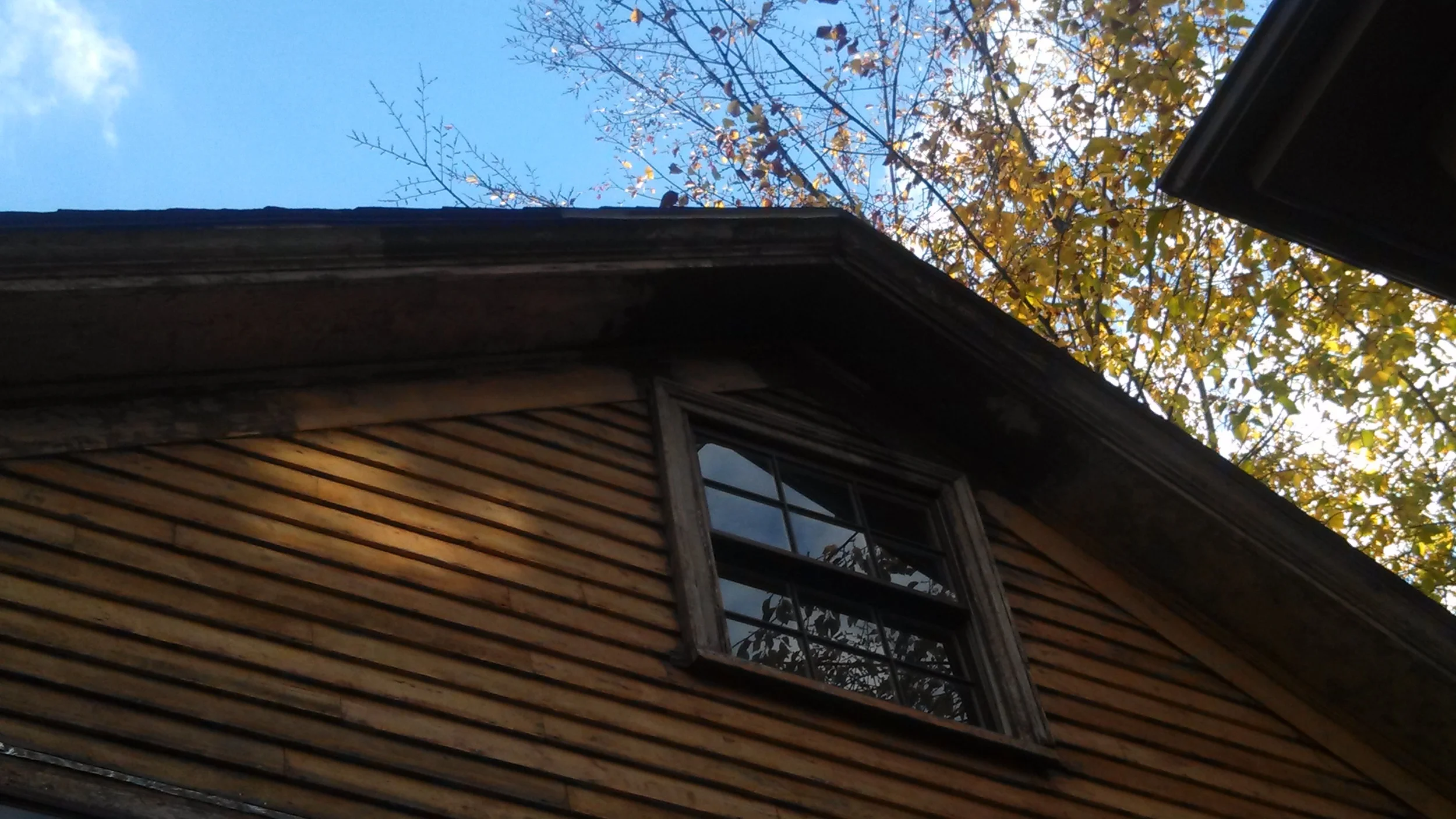 nov5th 004.jpg