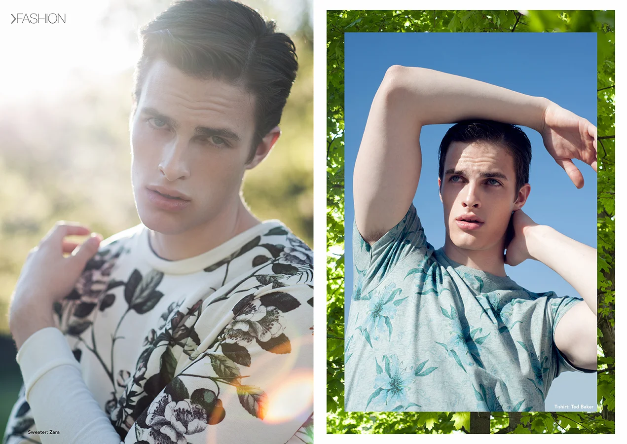 fave4.jpg