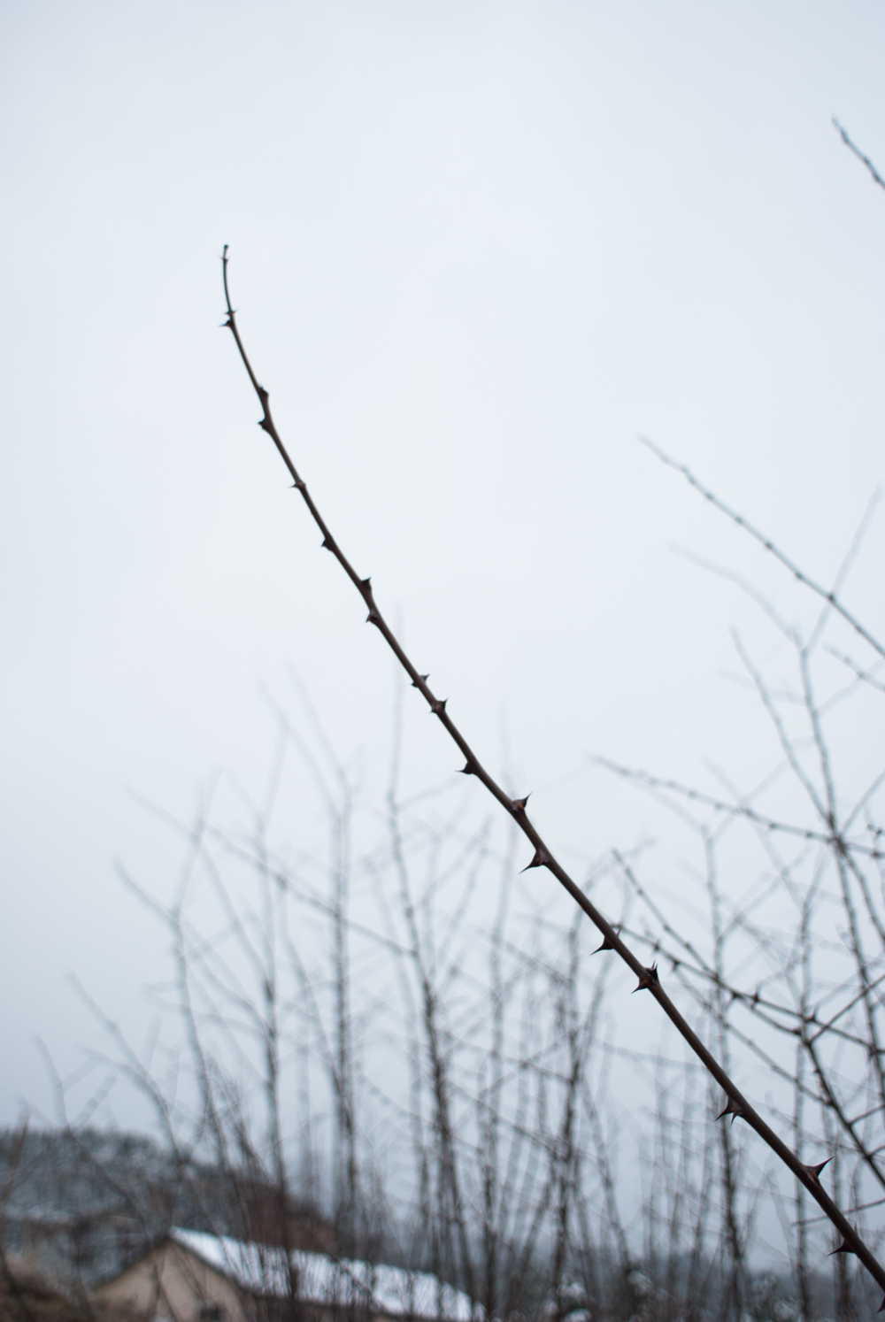 Points of Gravity