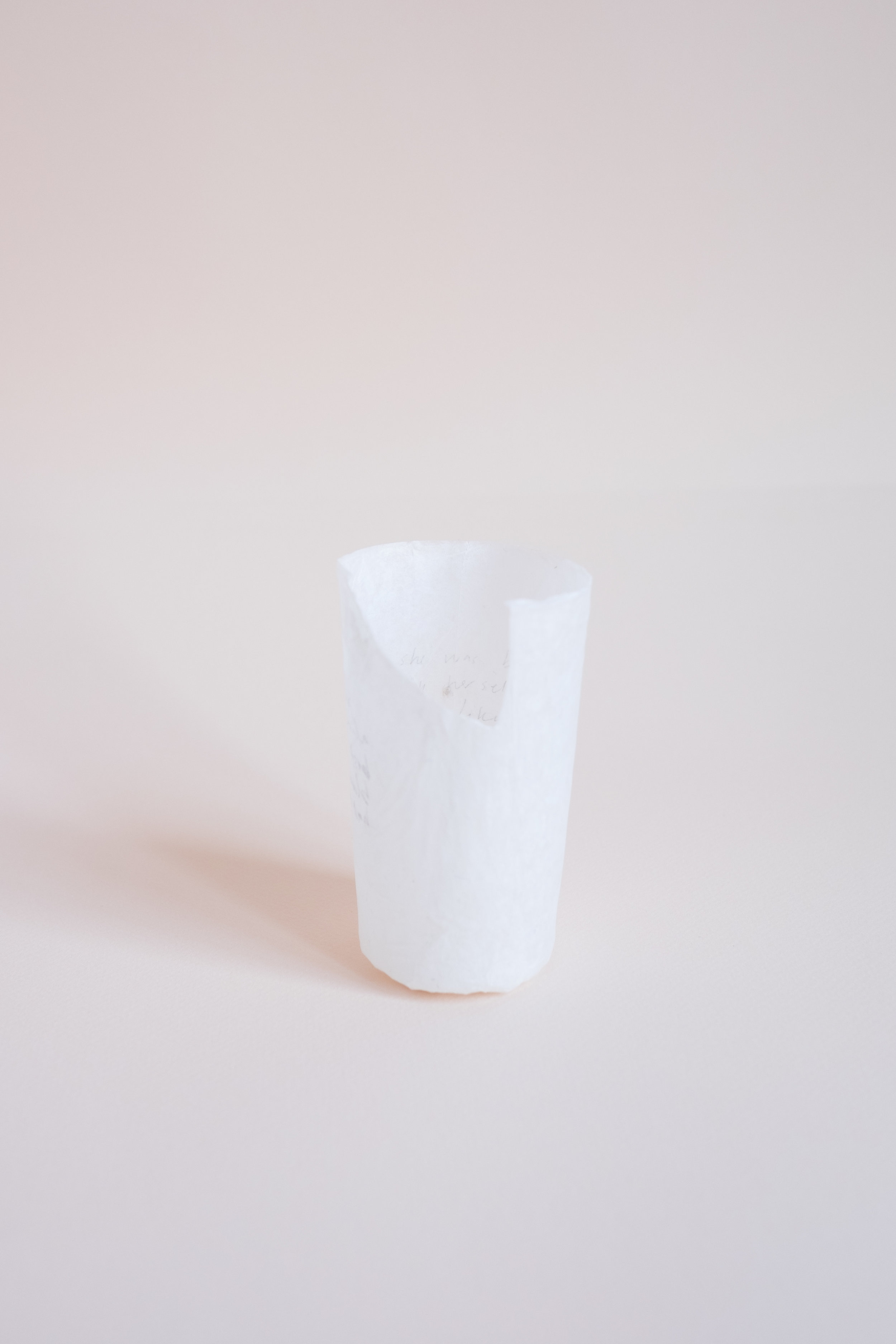 Antonym 1 Glassine, graphite, glue 2018