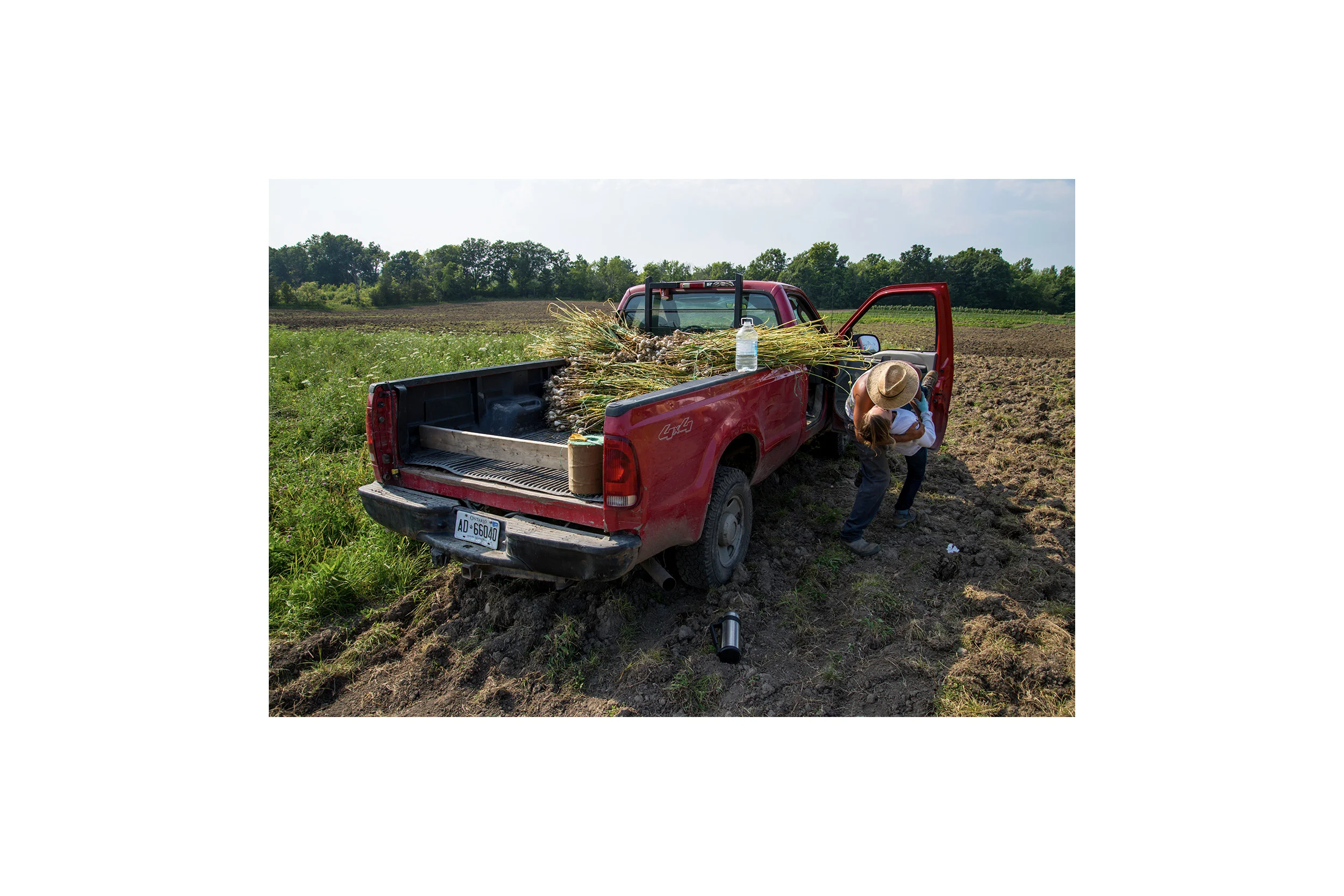 Young+farmers+intro_small_2+copy.jpg