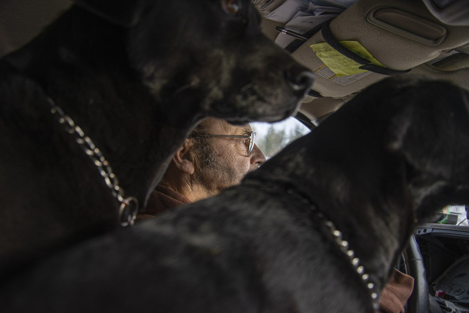 Everyday Bill and his two dogs drive in the city to look for cheap rentals. Bill hopes to find a place he can afford and call home. When spring comes, Bill and his two dogs will probably have to sleep in his truck. “ I can’t stay at friend’s forever